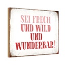 Holzschild 20x30 cm sei frech und wild wunderbar Spruch Zitat