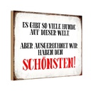 Holzschild 20x30 cm wir haben den schönsten Hund Tier Haustier