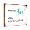 Holzschild 20x30 cm bin nicht stur meinungsstabil Dekoration