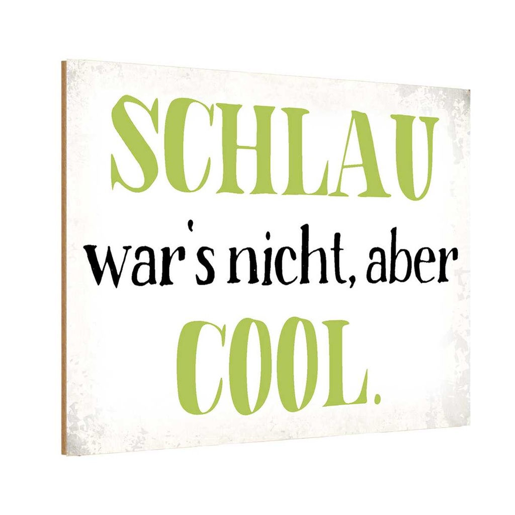 Holzschild 20x30 cm schlau war`s nicht aber cool Dekoration