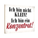 Holzschild 20x30 cm bin nicht klein bin Konzentrat