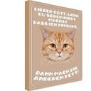 Holzschild 30x20 cm Katze lieber Gott wenn du schon nicht Tier Haustier