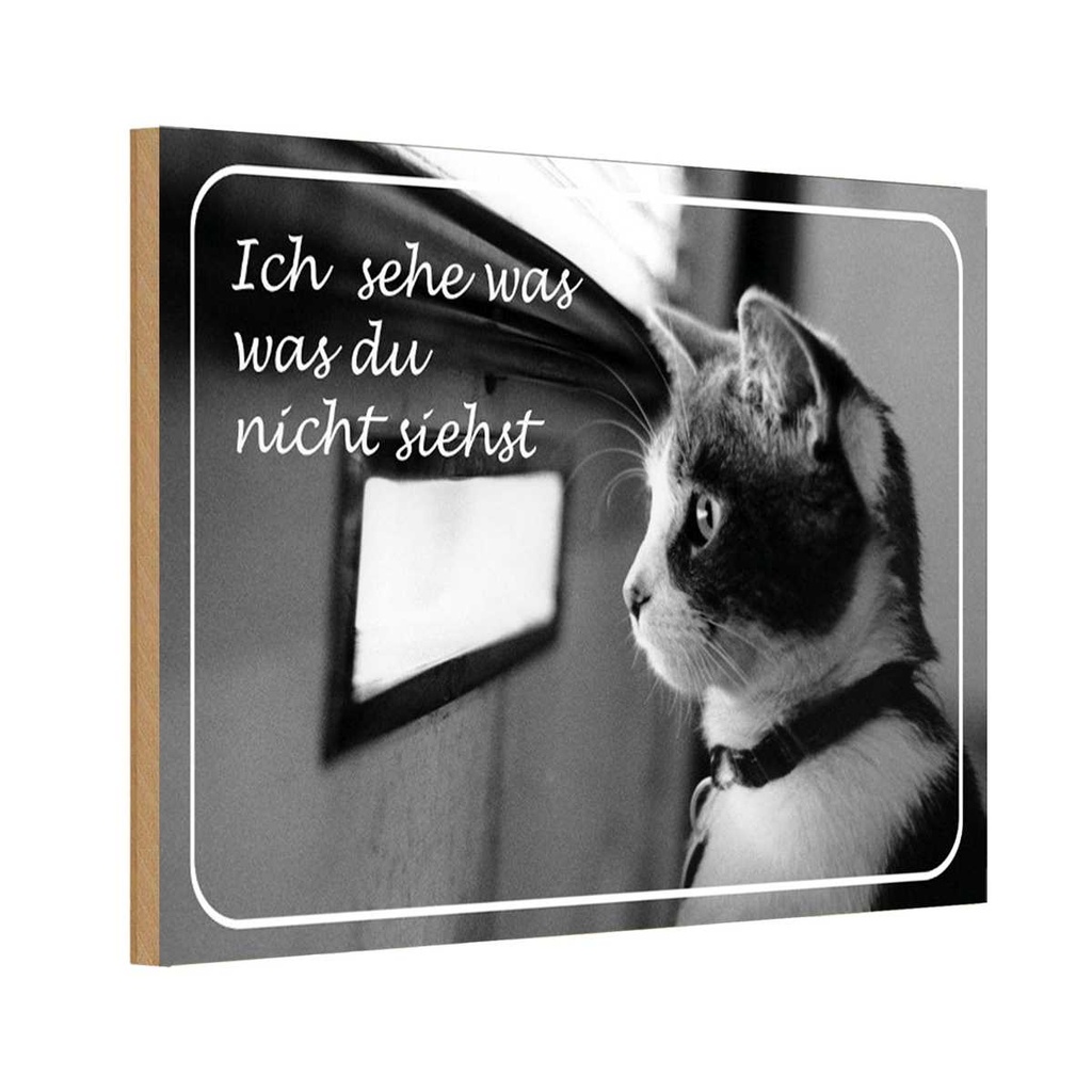 Holzschild 20x30 cm Katze ich sehe was du nicht siehst Tier Haustier