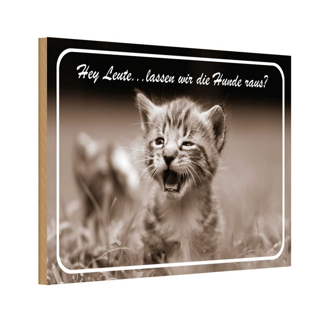 Holzschild 20x30 cm Katze Hey lassen wir die Hunde raus? Tier Haustier