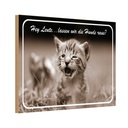 Holzschild 20x30 cm Katze Hey lassen wir die Hunde raus? Tier Haustier