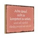 Holzschild 20x30 cm kompetent ständig will jemand Dekoration