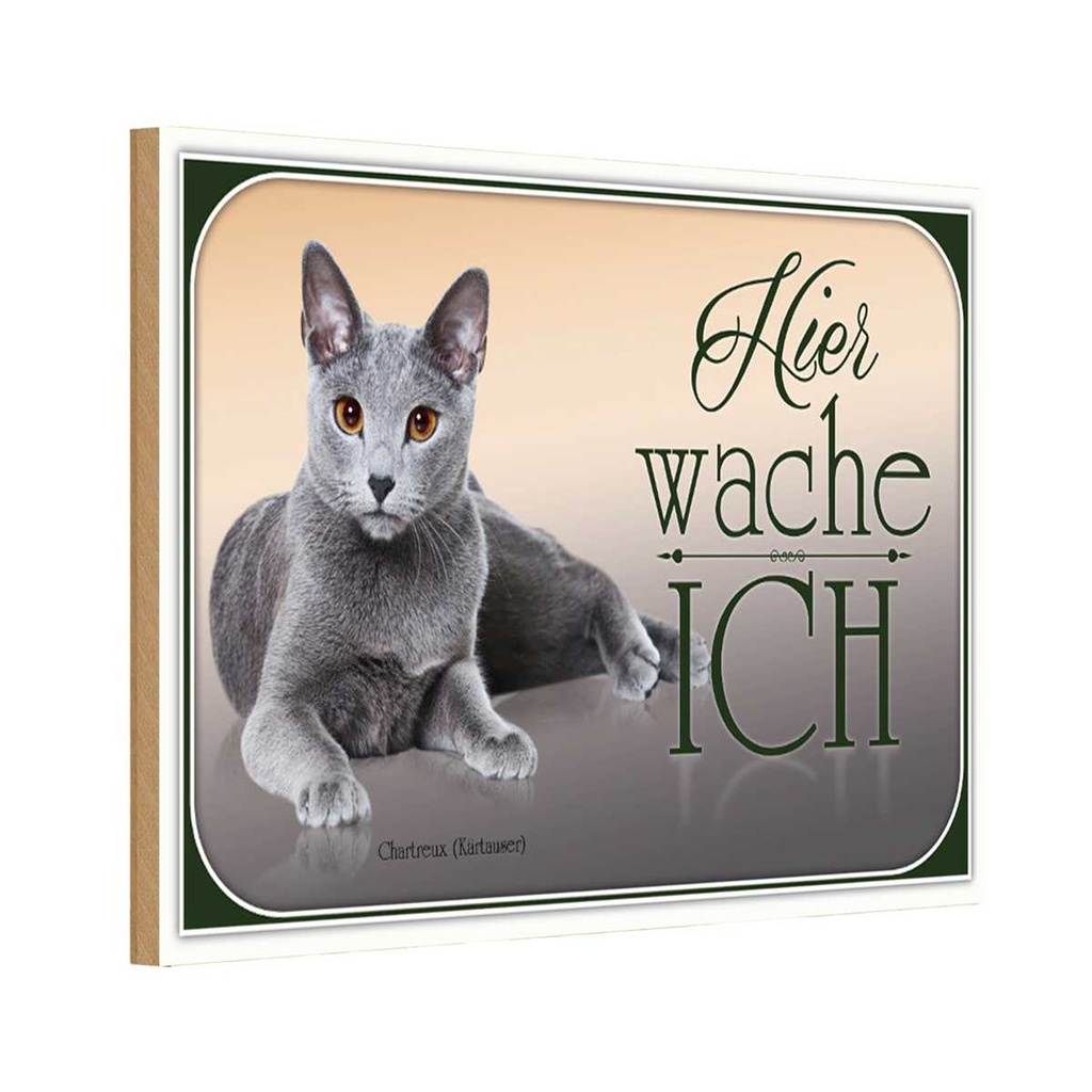 Holzschild 20x30 cm Katze Chartreux hier wache ich Tier Haustier