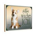 Holzschild 20x30 cm Hund Chihuahua hier wache ich Tier Haustier