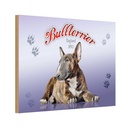 Holzschild 20x30 cm Hund Bullterrier England 1850 Tier Haustier