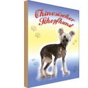 Holzschild 30x20 cm Hund Chinesischer Schopfhund Tier Haustier