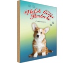 Holzschild 30x20 cm Hund Welsh Corgi Pembroke Tier Haustier