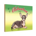 Holzschild 20x30 cm Hund Chihuahua Mexiko Tier Haustier
