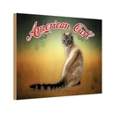 Holzschild 20x30 cm Katze American Curl Tier Haustier