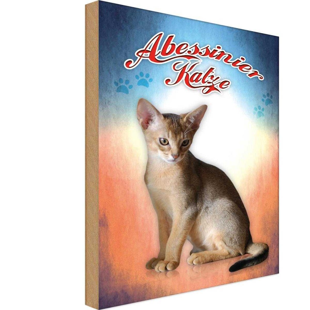 Holzschild 30x20 cm Katze Abessinier Tier Haustier