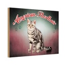 Holzschild 20x30 cm Katze American Shorthair Tier Haustier