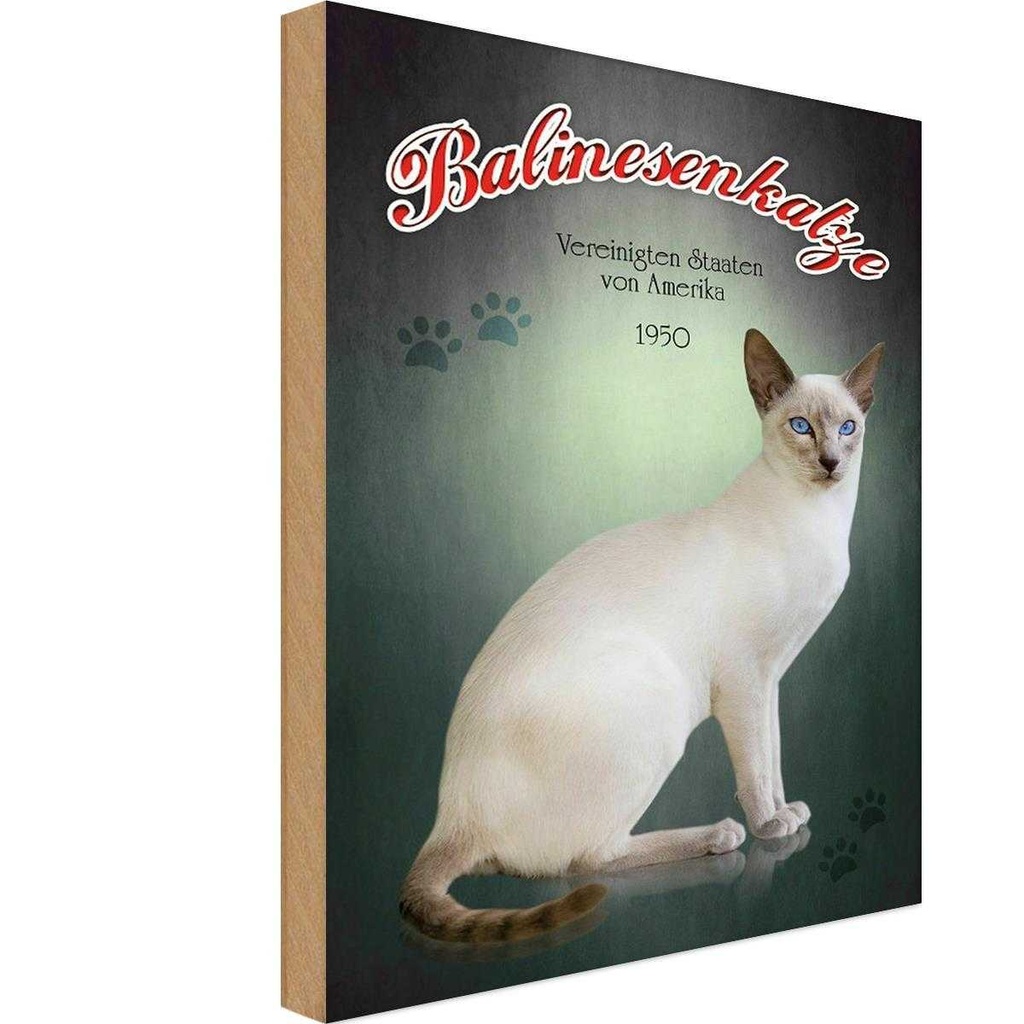 Holzschild 30x20 cm Katze Balinesenkatze Amerika 1950 Tier Haustier