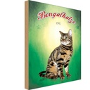Holzschild 30x20 cm Katze Bengalkatze 1792 Tier Haustier