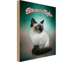 Holzschild 30x20 cm Katze Birma 1925 Tier Haustier