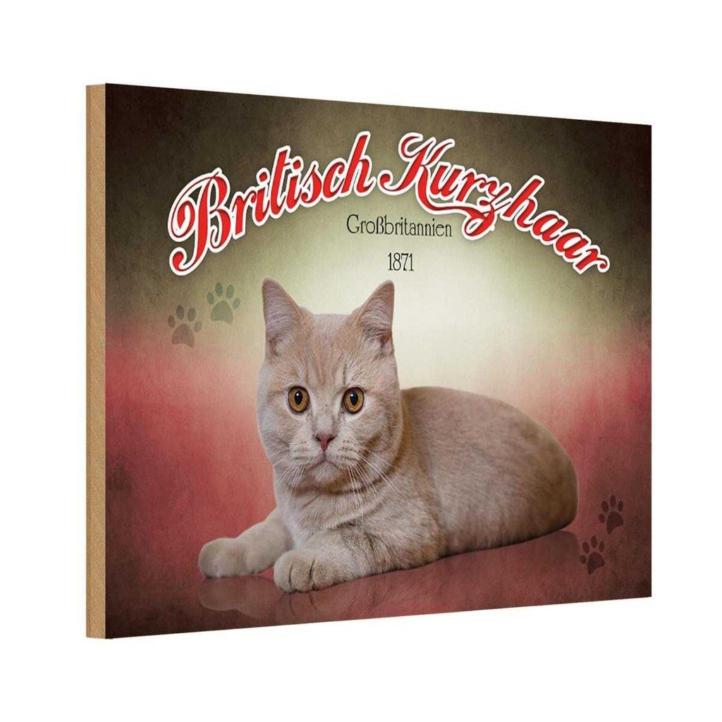 Holzschild 20x30 cm Katze British Kurzhaar Großbritanien Tier Haustier