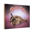 Holzschild 20x30 cm Katze Burma Tier Haustier