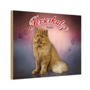 Holzschild 20x30 cm Katze Perserkatze England Tier Haustier