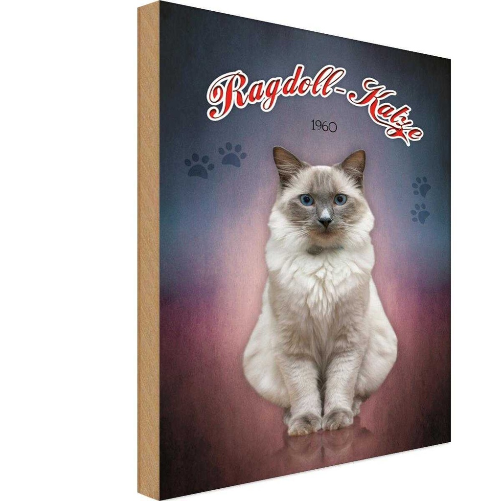 Holzschild 30x20 cm Katze Ragdoll 1960 Tier Haustier