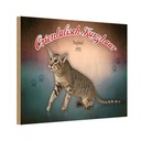 Holzschild 20x30 cm Katze Orientalisch Kurzhaar England Tier Haustier