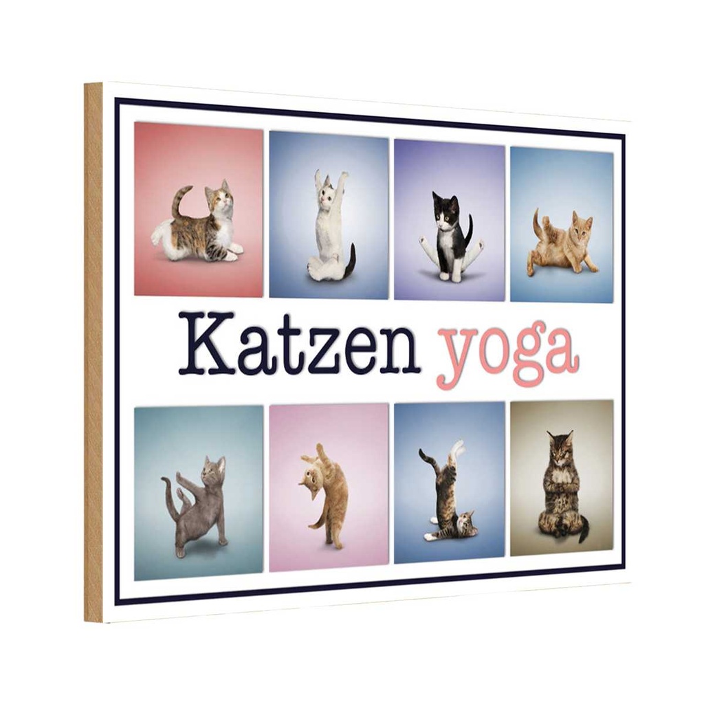 Holzschild 20x30 cm Katze Katzen Yoga Tier Haustier
