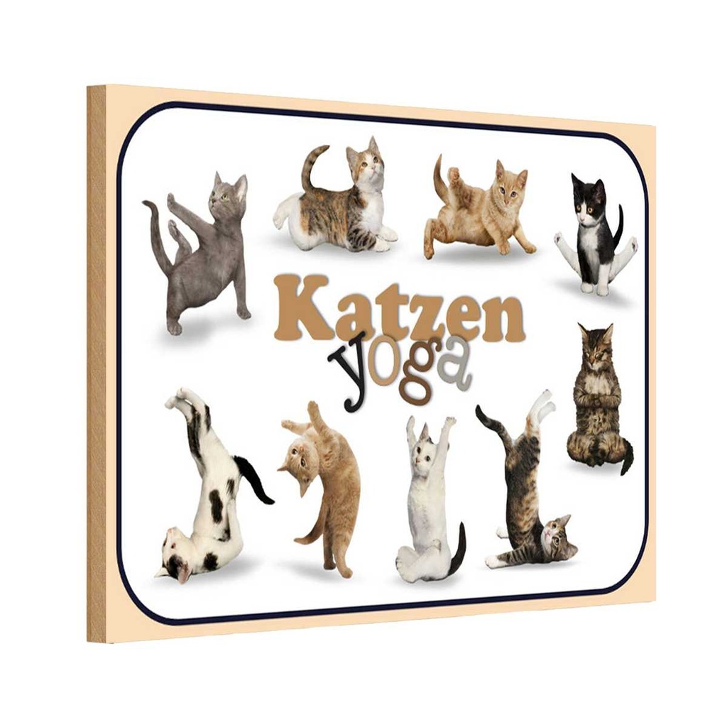 Holzschild 20x30 cm Katze Katzen Yoga Tier Haustier