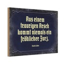 Holzschild 20x30 cm aus einem traurigen Arsch kommt