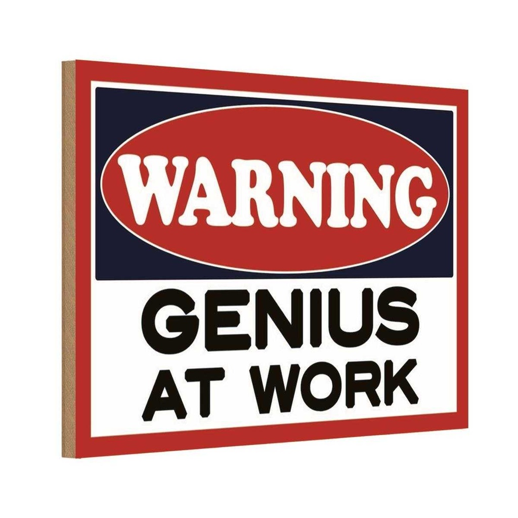 Holzschild 20x30 cm Warning Genius at work Warnschild Hinweisschild