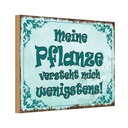 Holzschild 20x30 cm meine Pflanze vesteht mich Dekoration