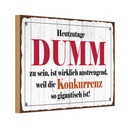 Holzschild 20x30 cm Heutzutage DUMM zu sein ist Dekoration