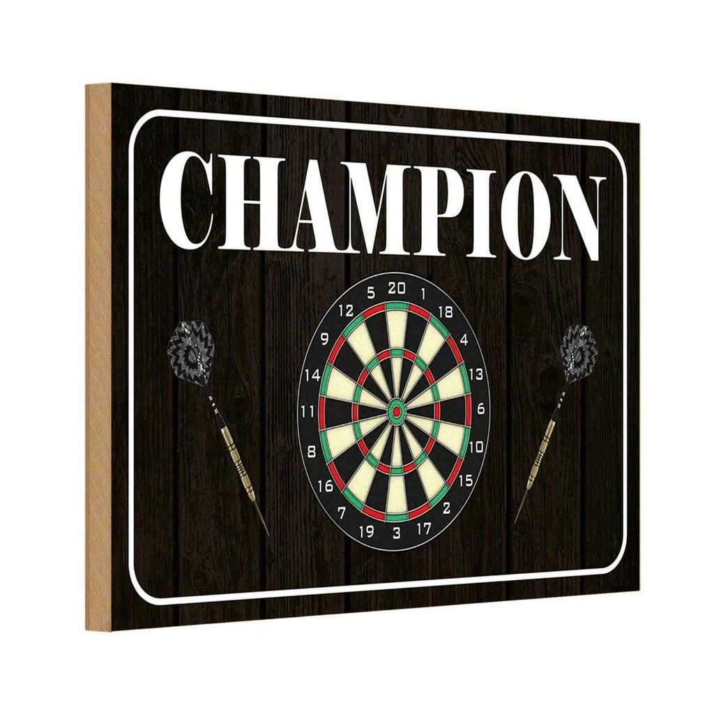 Holzschild 20x30 cm Darts Champion Sport Hobby