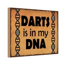 Holzschild 20x30 cm Darts is in my DANN Sport Hobby