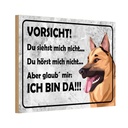 Holzschild 20x30 cm Vorsicht Hund Du siehst mich nicht Spruch Zitat