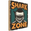 Holzschild 30x20 cm Shark Zone Hai See Warnschild Hinweisschild