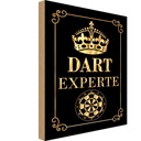 Holzschild 30x20 cm Dart Experte Krone Sport Hobby
