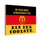 Holzschild 20x30 cm so viele Ossis bin der coolste Dekoration