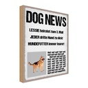 Holzschild 30x20 cm Dog news Leesie heiratet zum 3 Tier Haustier