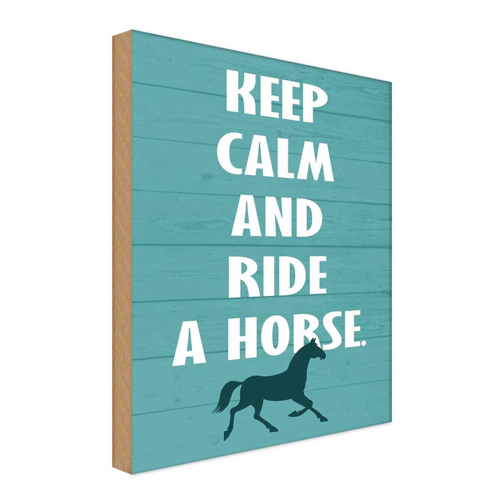 Holzschild 30x20 cm keep calm and ride a horse Pferd