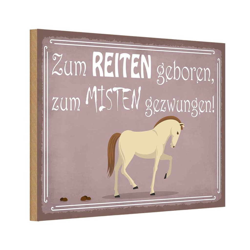 Holzschild 20x30 cm zum Reiten geboren Pferd Tier Haustier