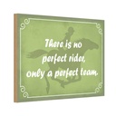 Holzschild 20x30 cm there is no perfect rider only Dekoration