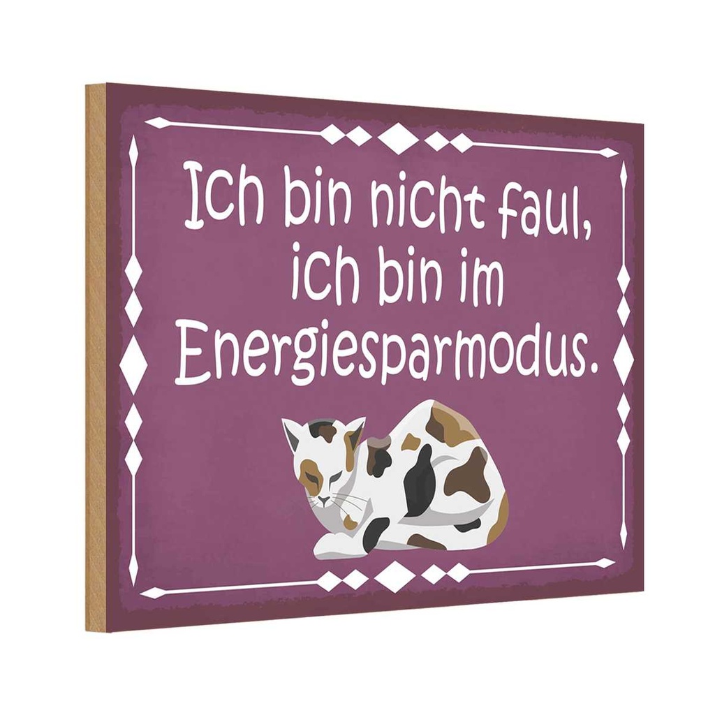 Holzschild 20x30 cm Katze ich bin nicht faul im Tier Haustier