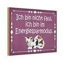 Holzschild 20x30 cm Katze ich bin nicht faul im Tier Haustier