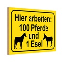Holzschild 20x30 cm arbeiten 100 Pferde und 1 Esel