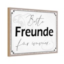 Holzschild 20x30 cm beste Freunde für immer Familie