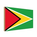 Holzschild 20x30 cm Guyanas Guyana Flagge Fahne Wappen