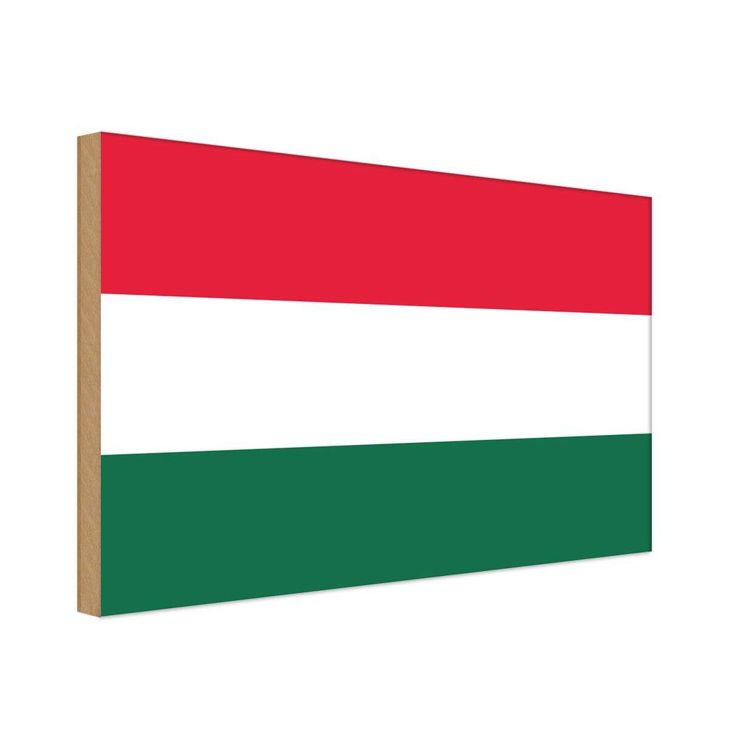 Holzschild 20x30 cm Ungarns Hungary Flagge Fahne Wappen