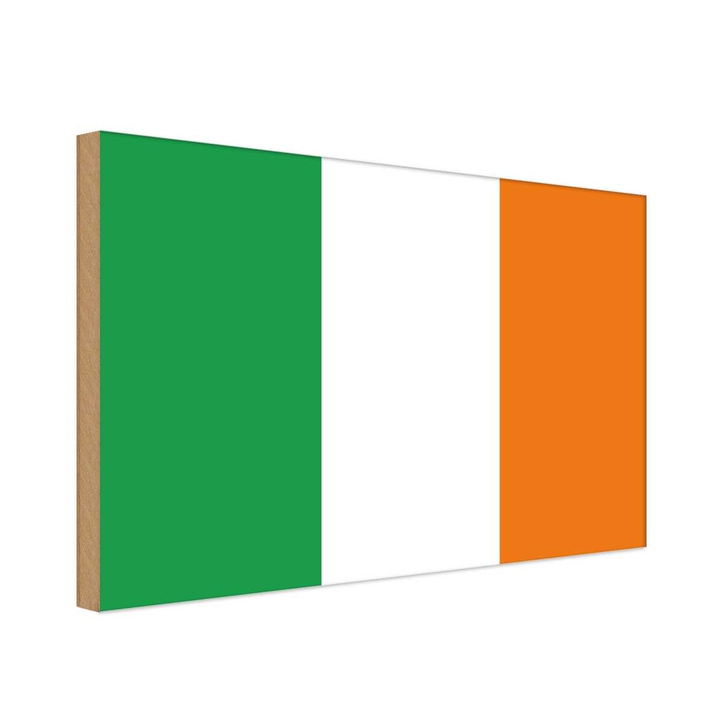 Holzschild 20x30 cm Irlands Ireland Flagge Fahne Wappen